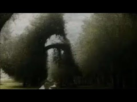 XXL XXL XXL XXL FREESTYLE 2024 |XXL 2025 | Xxwd5000xa | XXL XXL XXL XXL